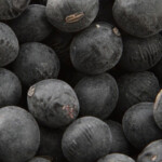 丹波の黒豆は蒲原屋で